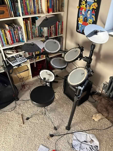 Photo of free Electric drum kit (Lewes nevill) #1