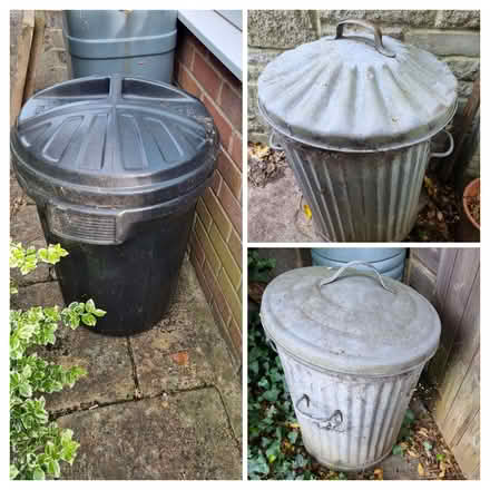 Photo of free 3 bins of firewood (Wells BA5) #1