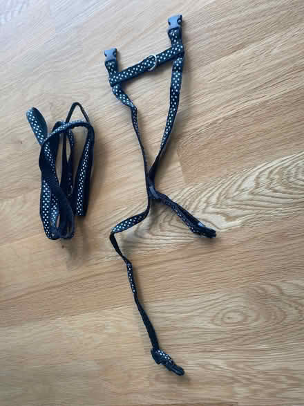 Photo of free Cat lead (Upshire EN9) #1
