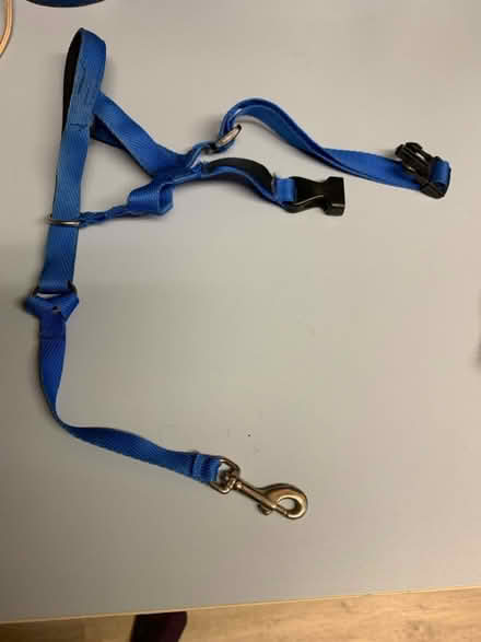 Photo of free Dog harness x2 haltix1 (Ringwood BH24) #3
