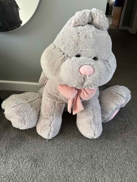 Photo of free Cuddly rabbit (Prestbury, SK10) #1