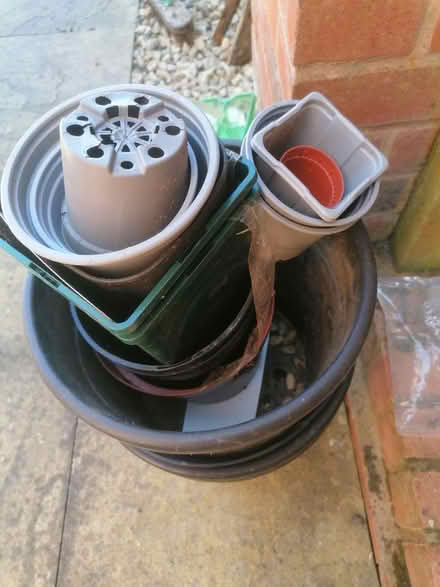 Photo of free Plant pots (Copeswood CV3) #2