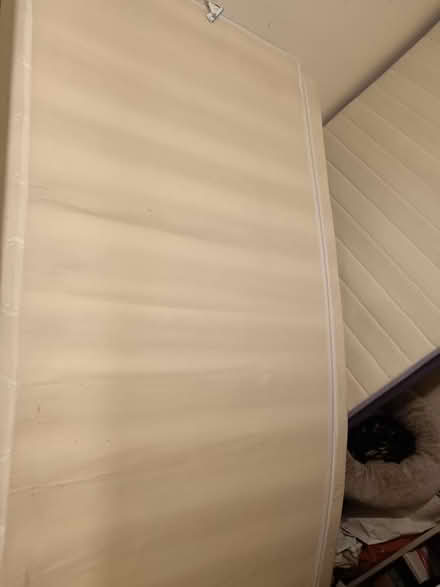 Photo of free Single mattress (SW15 Putney Vale) #3