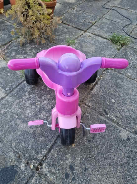 Photo of free Pink Tricycle (Layer-de-la-Haye CO2) #2