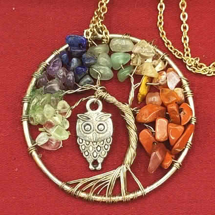 Photo of free Wise owl pendant with long chain (Victory Heights, North Seattle) #1