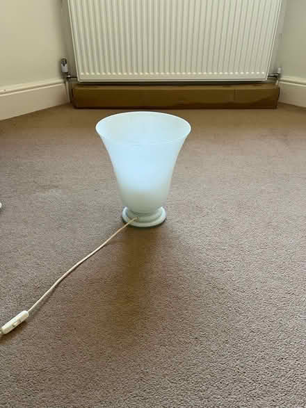 Photo of free Lamp (Hertford SG13) #2