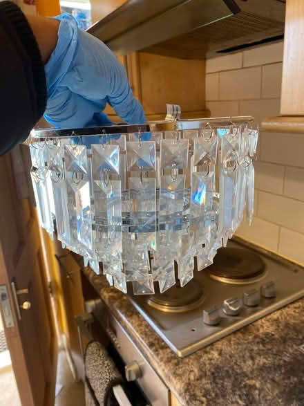 Photo of free Chandler (Bromley, BR1) #1