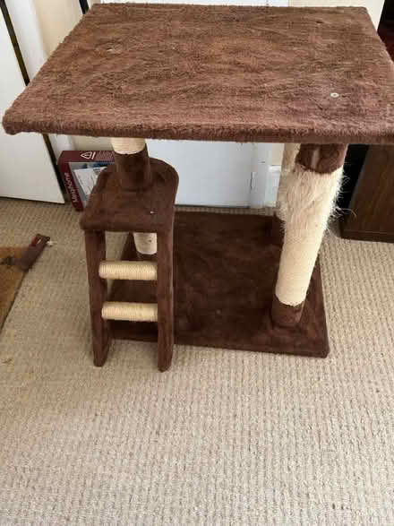 Photo of free Cat scratching post (Bushey WD23) #1