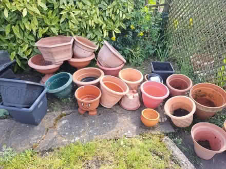 Photo of free Garden pots (lots and lots) (IP6) #1