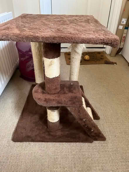 Photo of free Cat scratching post (Bushey WD23) #2
