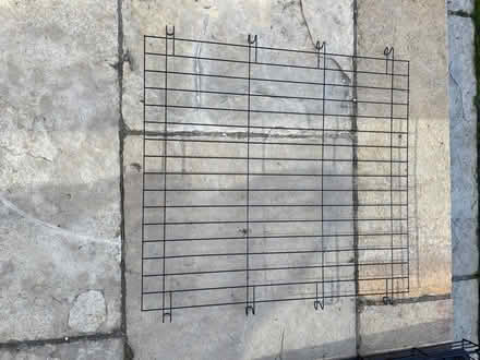 Photo of free XL Metal Dog Crate - Foldable with Tray (Fulham Palace Rd W6) #2