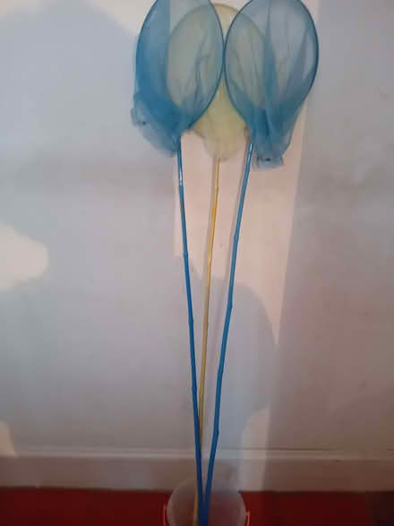 Photo of free Crabbing items (Wivenhoe CO7) #1