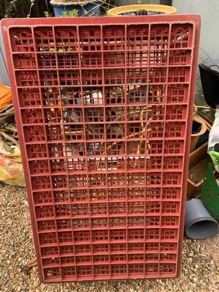 Photo of free Used Poultry Crate (RH11) #2