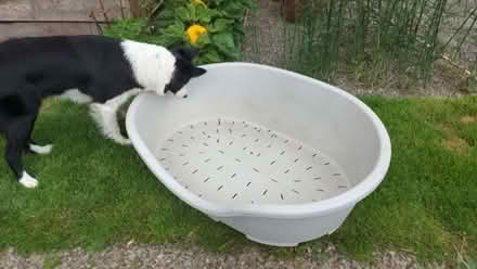 Photo of free Dog Bed (Kinnerton LD8) #1
