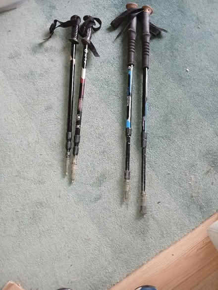 Photo of free Walking poles (Dursley GL11) #1