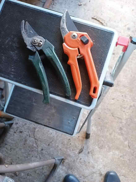 Photo of free Secateurs (Cookridge, LS16) #1