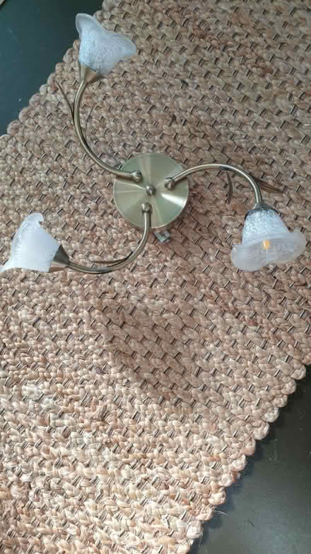 Photo of free Ceiling light (CT5) #2