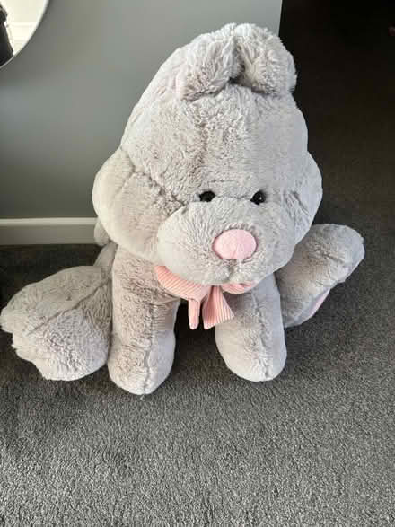 Photo of free Cuddly rabbit (Prestbury, SK10) #2
