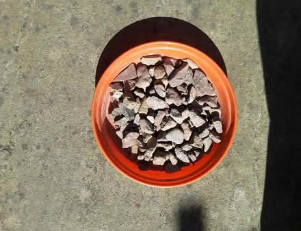 Photo of free Garden decorative stone chips (Liberton EH16) #1
