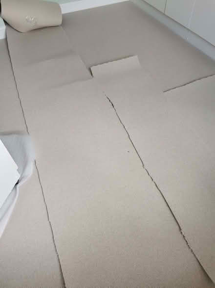 Photo of free Offcut Carpet cream (Brandwood End B14) #2