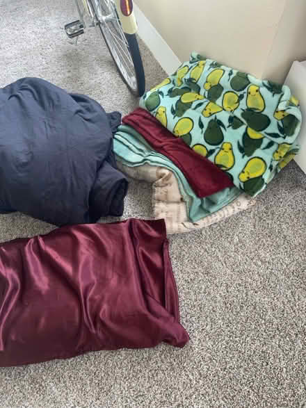 Photo of free Blankets and a pillow (Green Valley Ranch.) #1