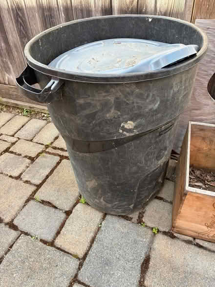 Photo of free Redwood Chips (Corte Madera (Corte Madera (near 101)) #2