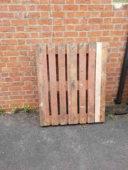 Photo of free Pallet (Abingdon OX14) #1