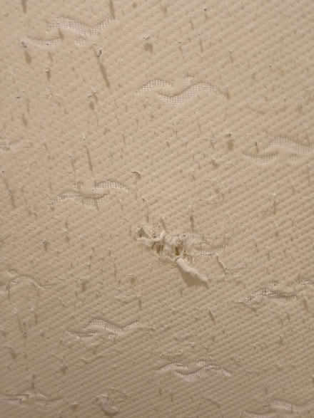 Photo of free Single mattress (SW15 Putney Vale) #4