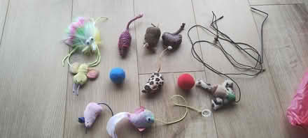 Photo of free Cat toys (Royston SG8) #1