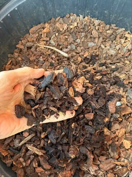 Photo of free Redwood Chips (Corte Madera (Corte Madera (near 101)) #1