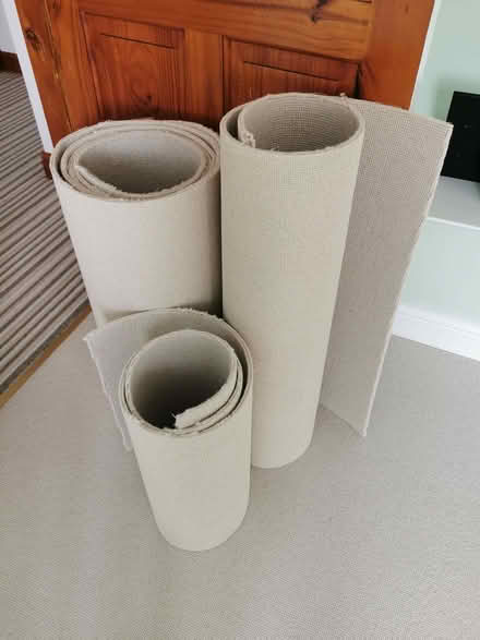 Photo of free Offcut Carpet cream (Brandwood End B14) #1
