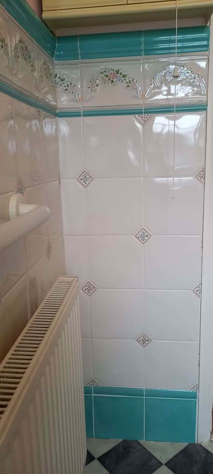 Photo of free Tiles (Ashton Green BN8) #4