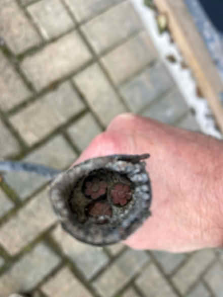 Photo of free Electric Cable (Burton-in-Kendal LA6) #2
