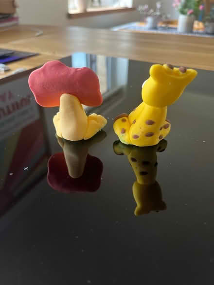 Photo of free Lion & Giraffe cake topper (West Oxfordshire OX28) #4