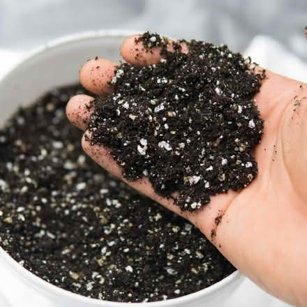 Photo of Perlite/vermiculite (Dalkeith EH22) #1