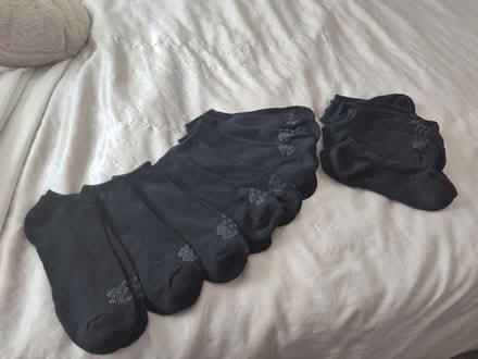 Photo of free Socks (St Clair Shores) #1