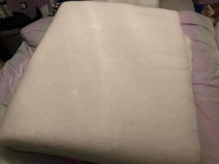 Photo of free Inside from mattress (Erskine PA8) #2