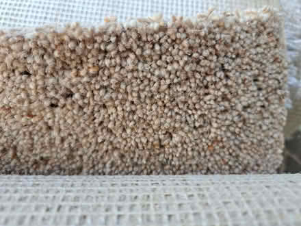Photo of free Carpet (Wymington NN10) #1