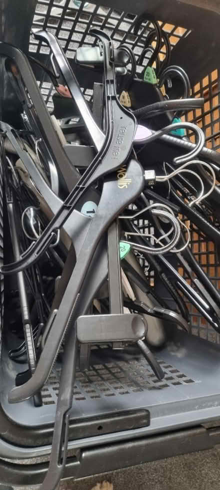 Photo of free Clothes Hangers (Cheshunt EN7) #1