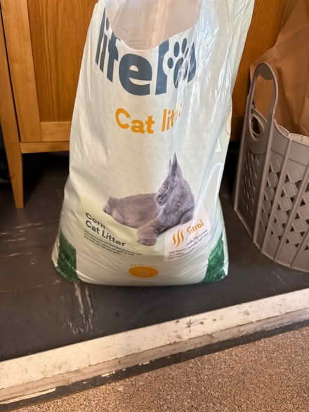 Photo of free Cat litter box and 1/2 sack litter (N16 Newington Green Islington) #3