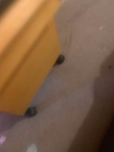 Photo of free Filing cabinet (BN19ET) #3