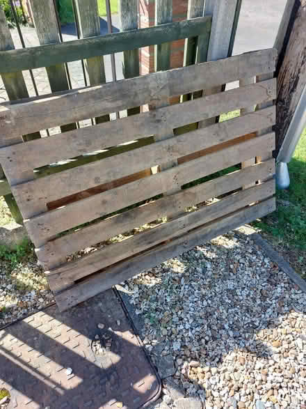 Photo of free Wooden pallet (MK43) #1