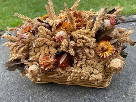 Photo of free Basket of dried flowers (Southdown AL5) #1