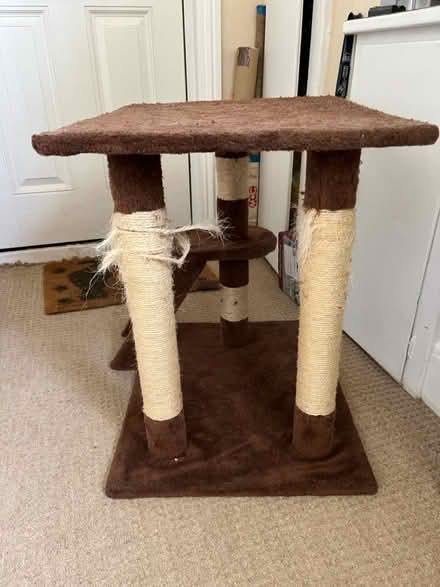 Photo of free Cat scratching post (Bushey WD23) #4