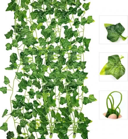 Photo of Plastic garden type ivy (BT4) #1