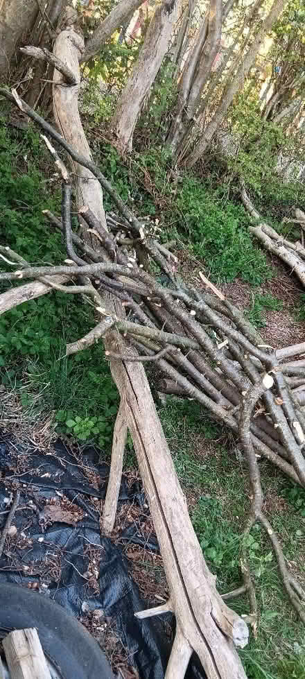Photo of free Fire wood (Rakegate Estate WV10) #1