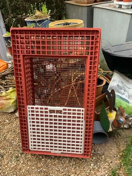 Photo of free Used Poultry Crate (RH11) #1