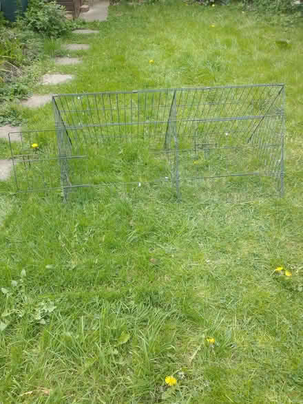 Photo of free Outdoor guinea pig run (Wood Green N22) #1