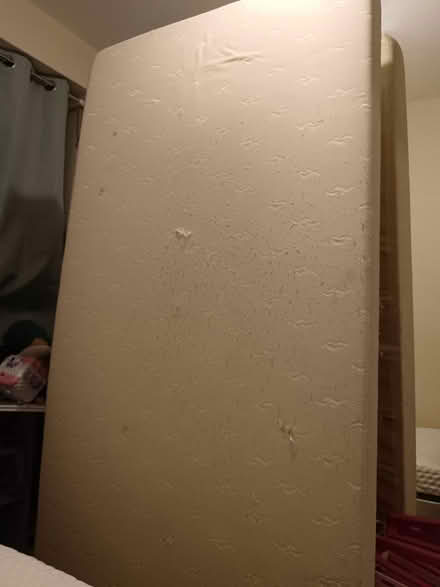 Photo of free Single mattress (SW15 Putney Vale) #1
