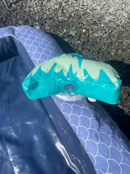 Photo of free Pet paddling pool with jets (Witton Gilbert DH7) #2